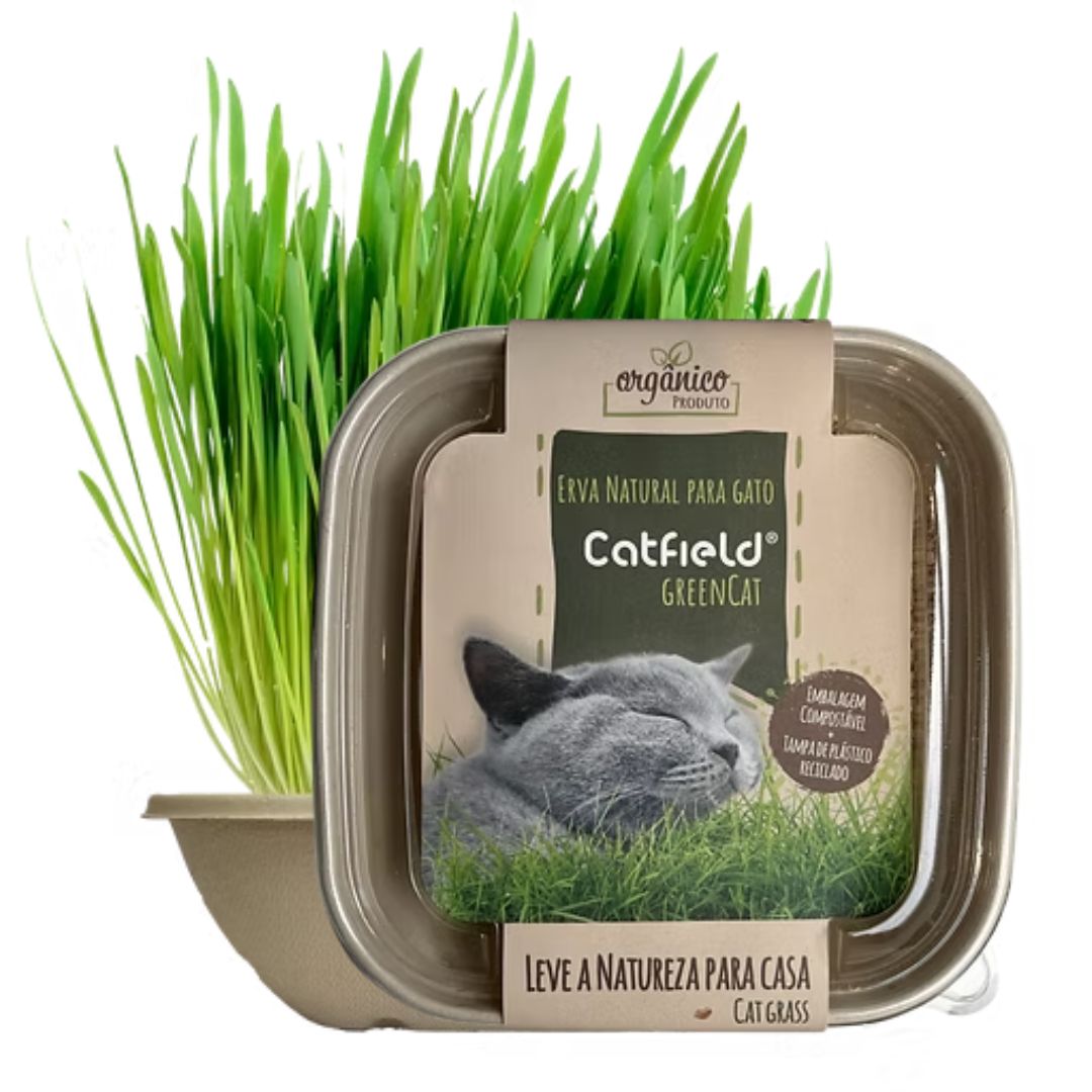 Erva Natural para Gatos - Catfield GreenCat