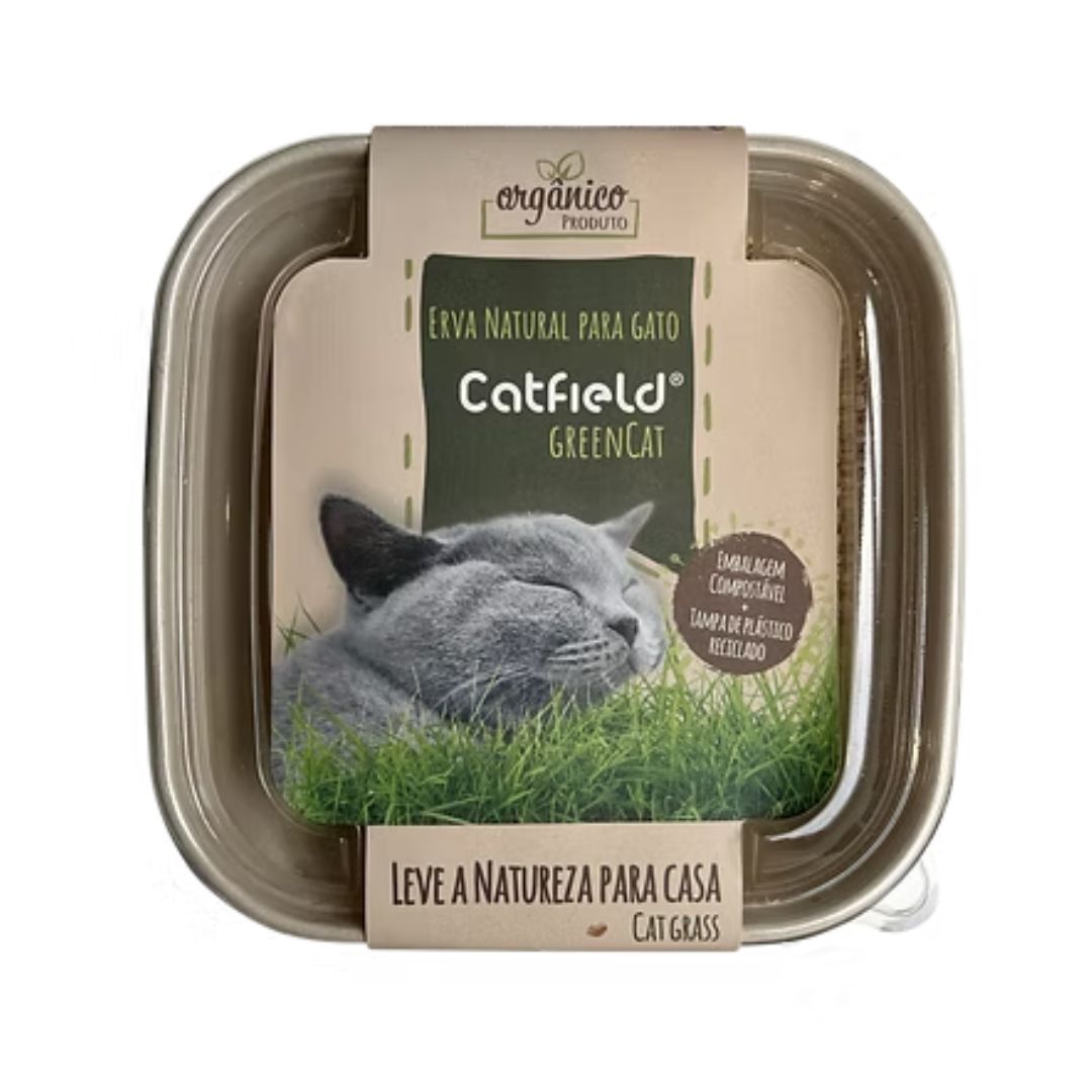 Erva Natural para Gatos - Catfield GreenCat