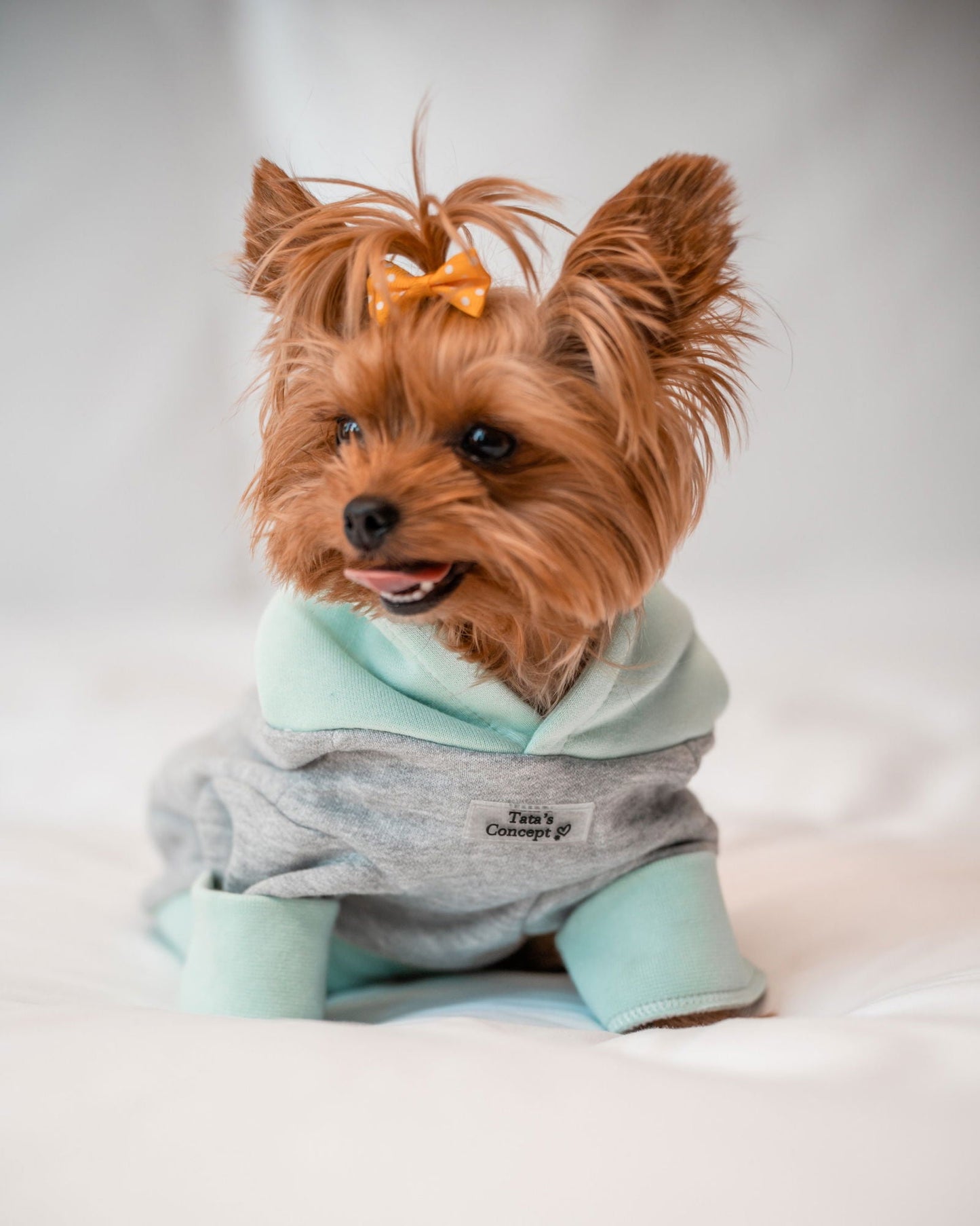 Pet Hoodie