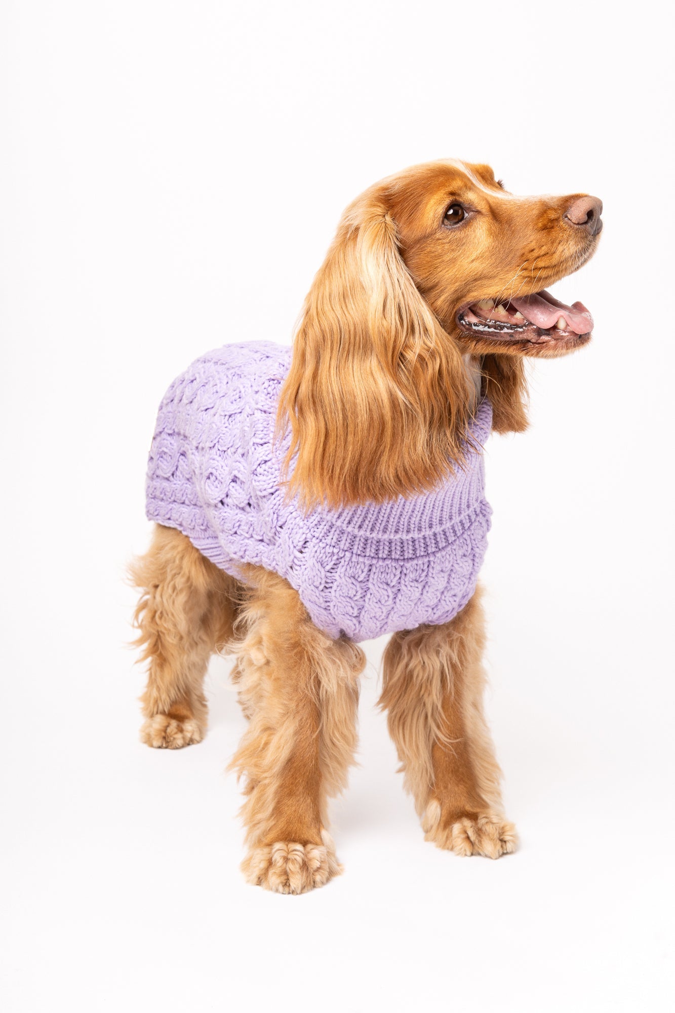 Pullover Lavanda