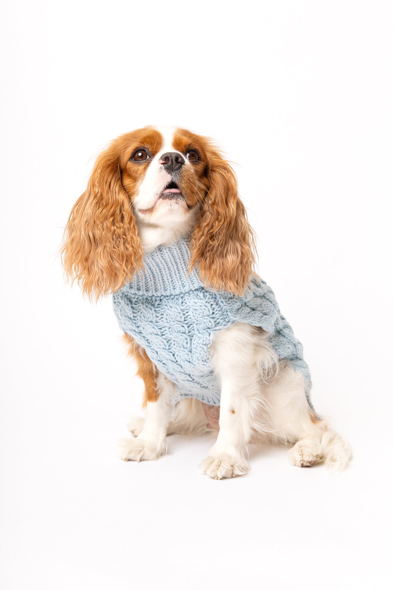 Pullover Turquesa