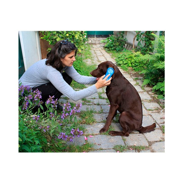 Escova Magic Brush Simply Bright - Cão