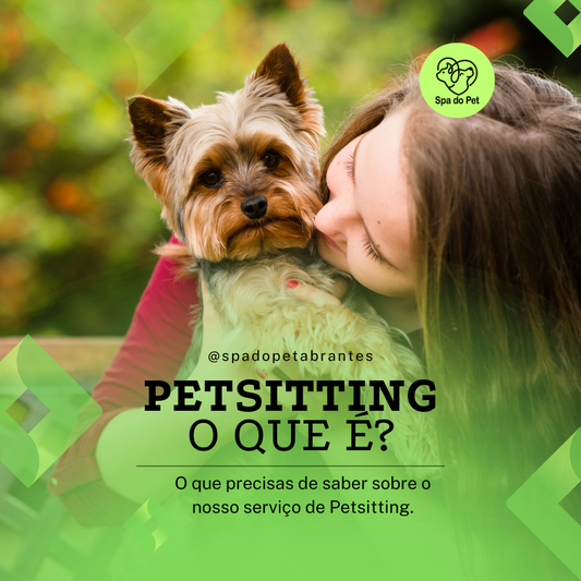 PetSitting: O que é?