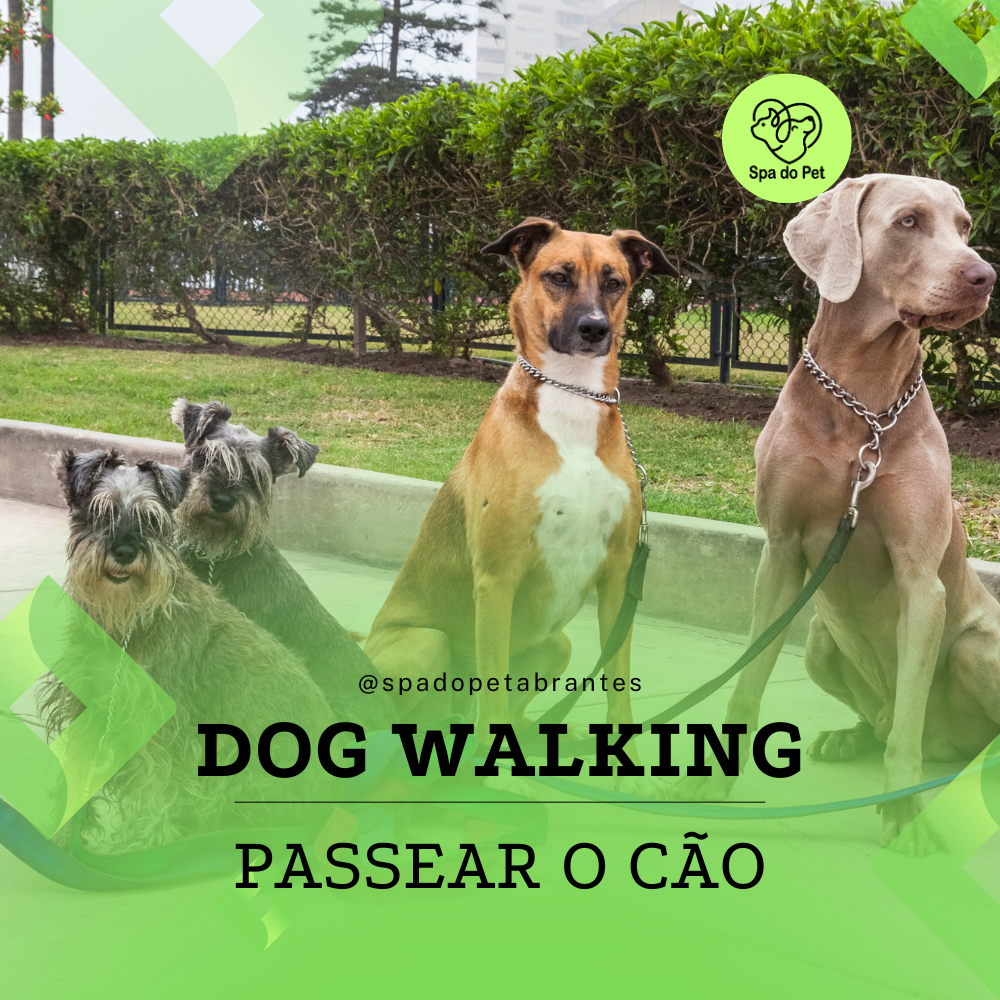 Dog-Walking ou Passear o Cão!?