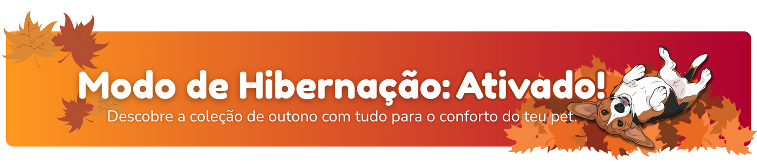 Coleção Outono 2025