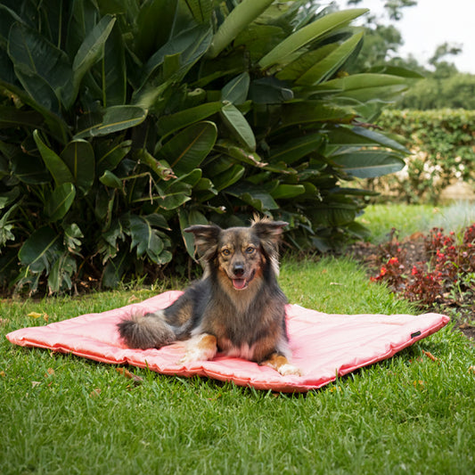 Agui Waterproof Summer Mat