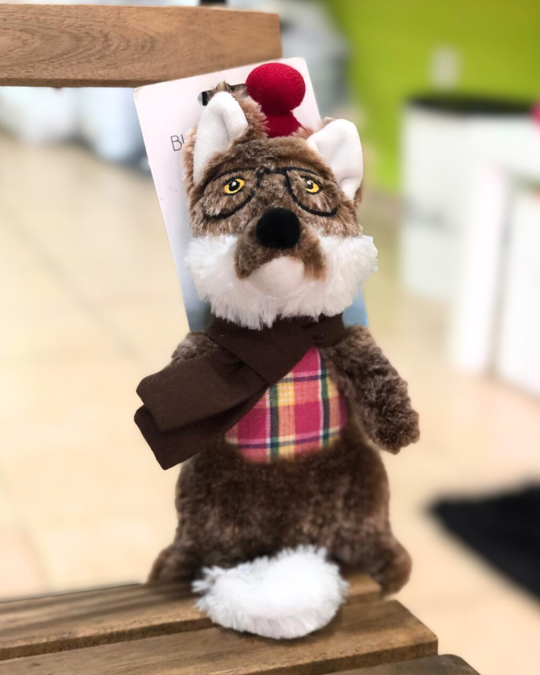 Dandy Dude Fox - Brinquedo para Cão