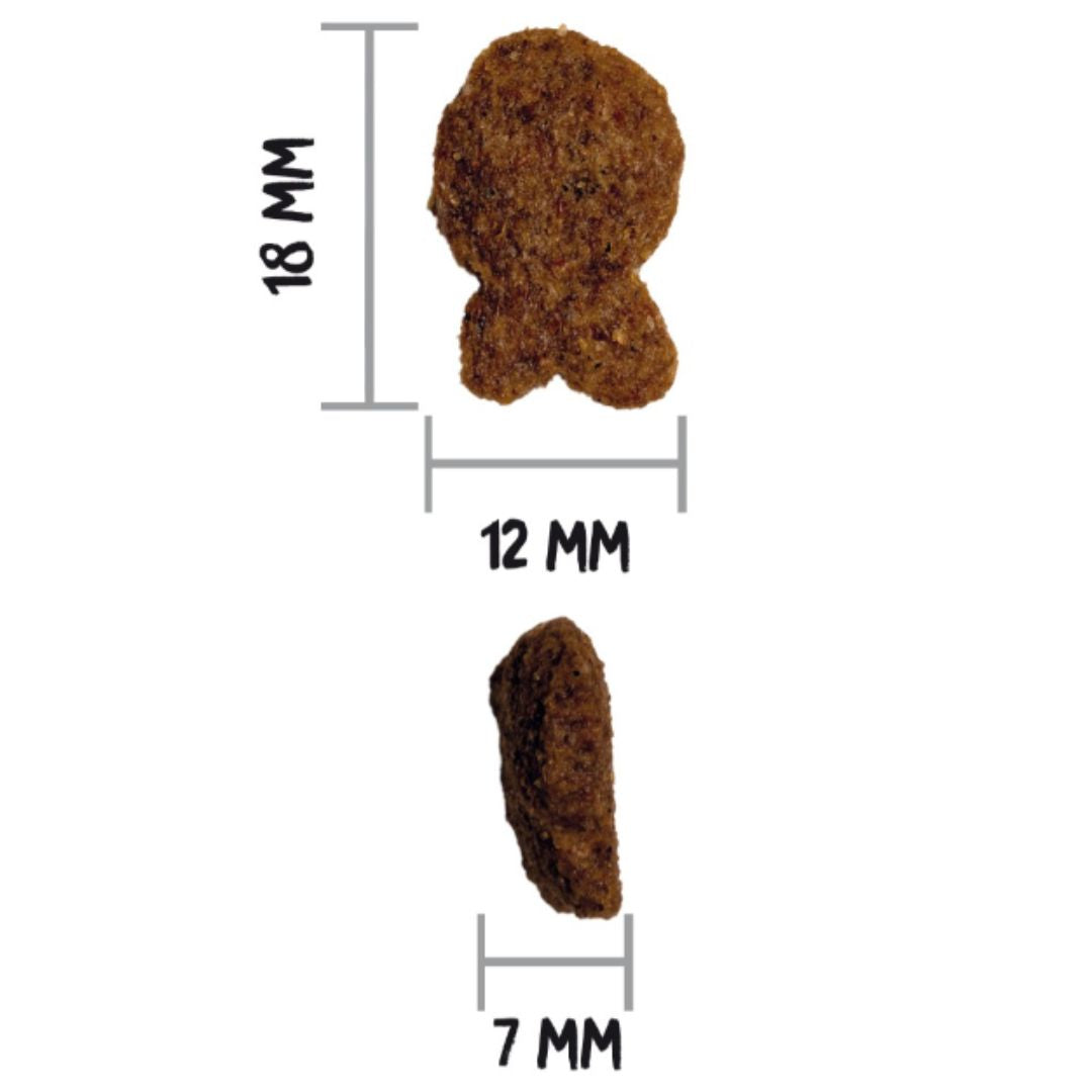 Ownat Classic Fish - Cão