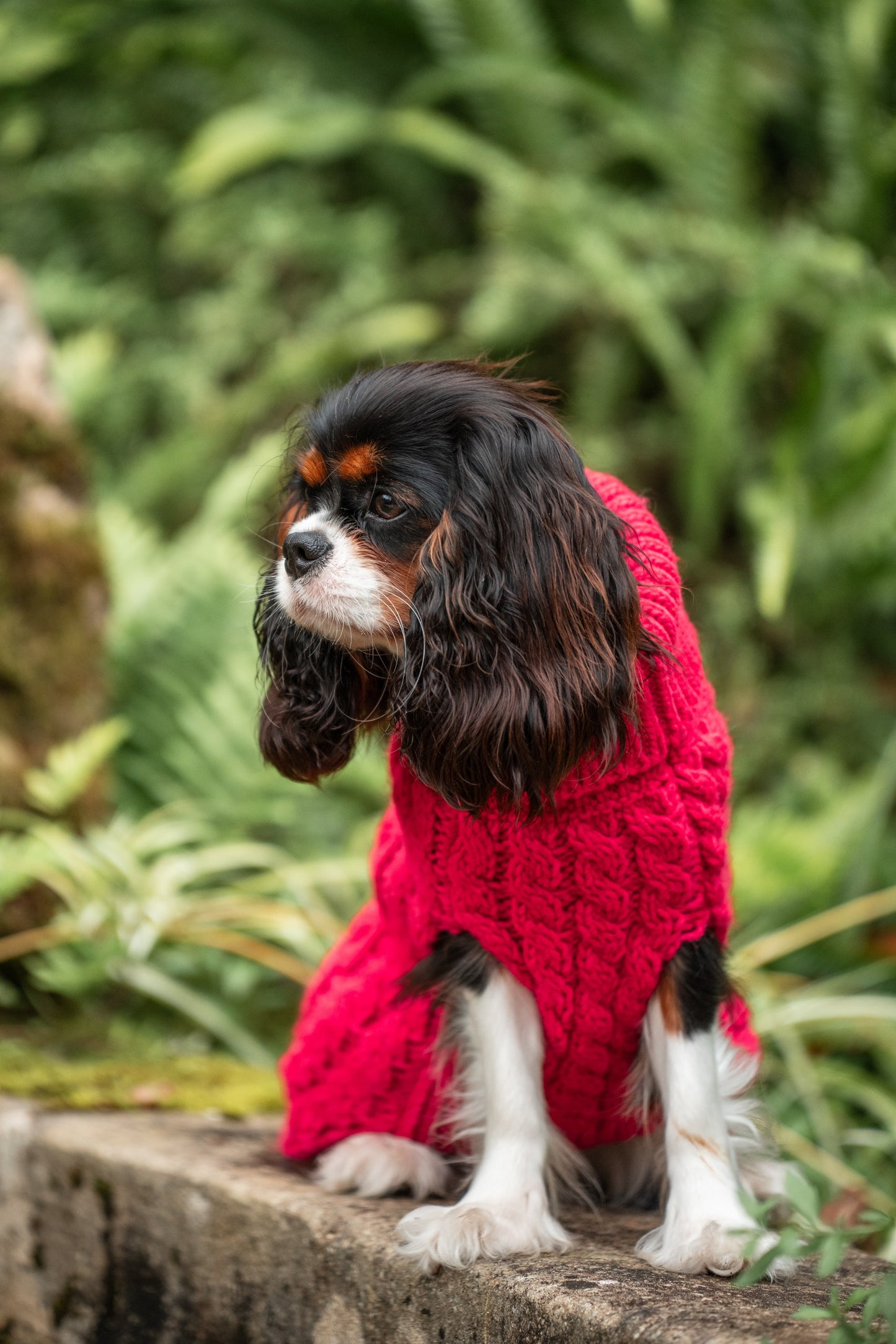 Pullover Magenta