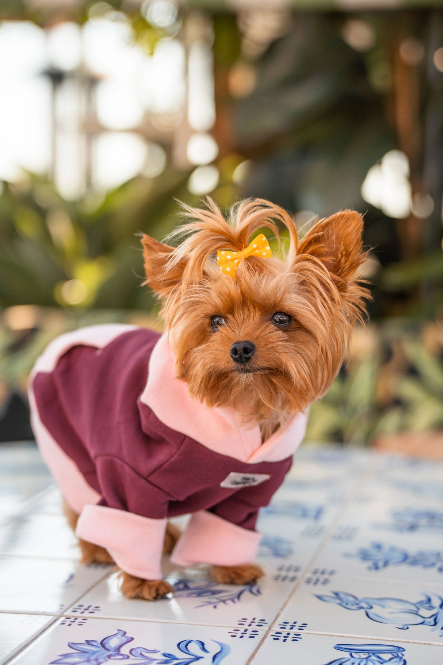 Pet Hoodie