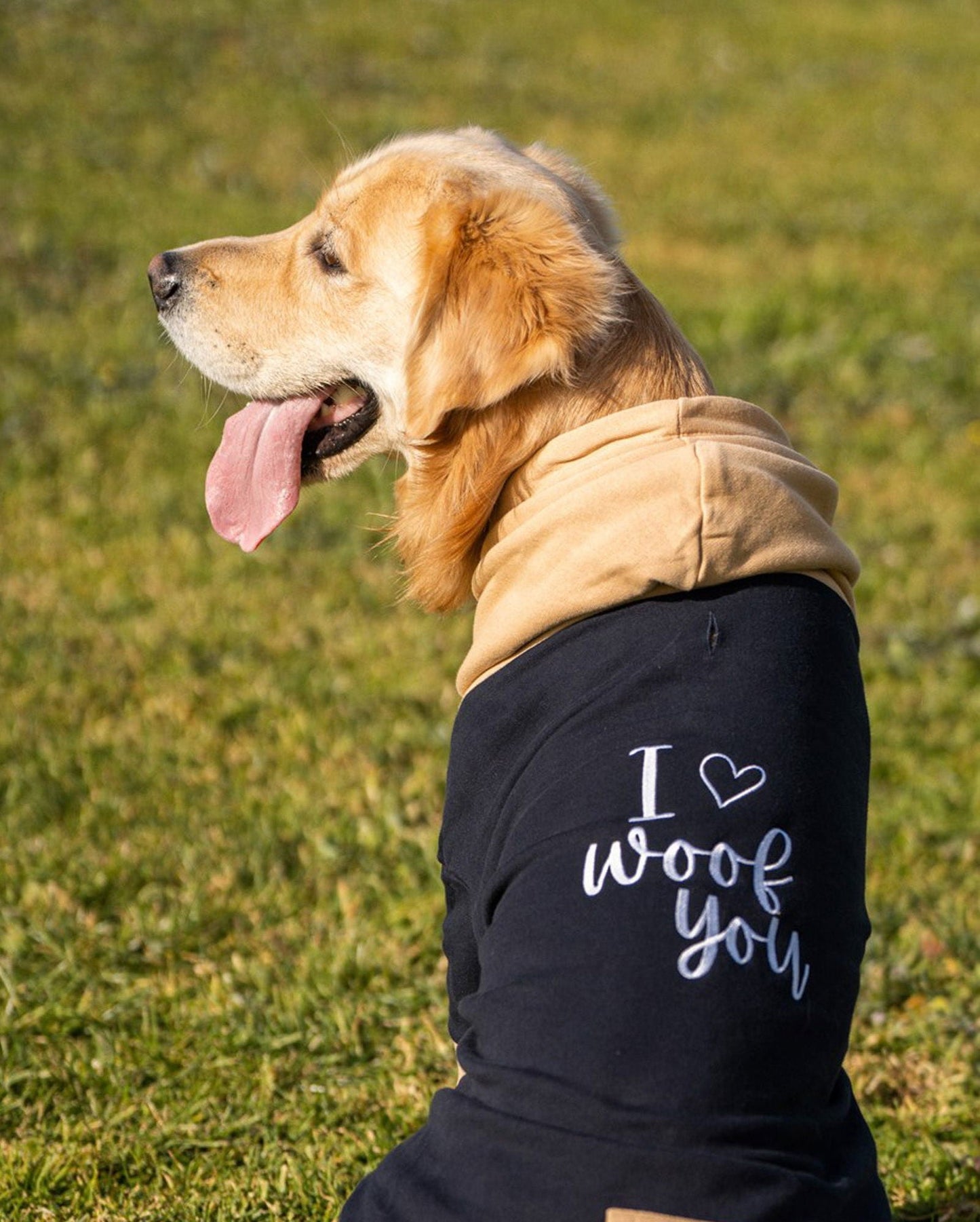 Pet Hoodie I WOOF YOU