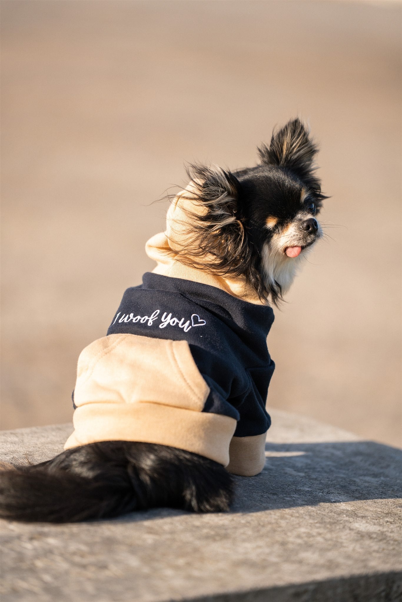 Pet Hoodie I WOOF YOU