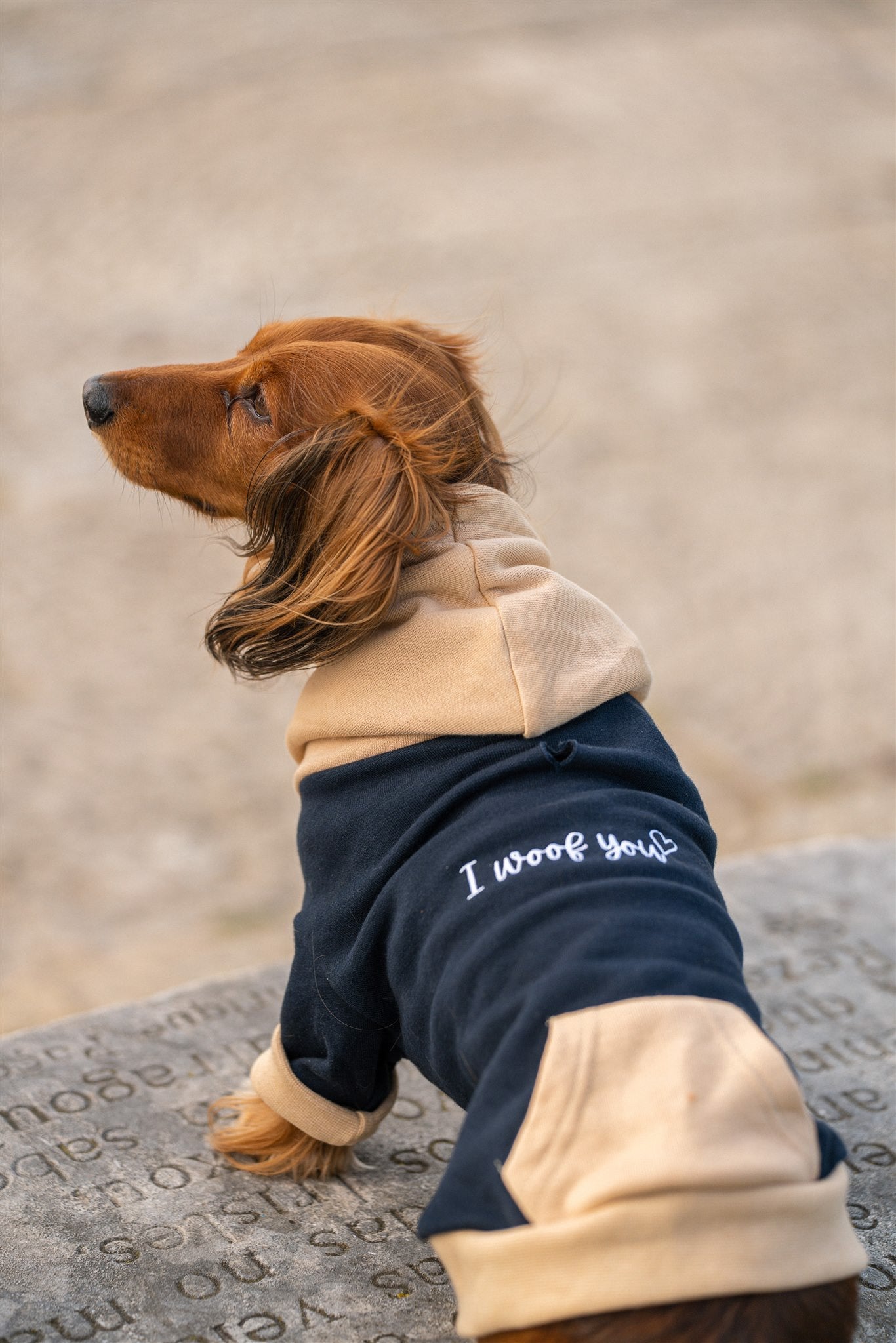 Pet Hoodie I WOOF YOU