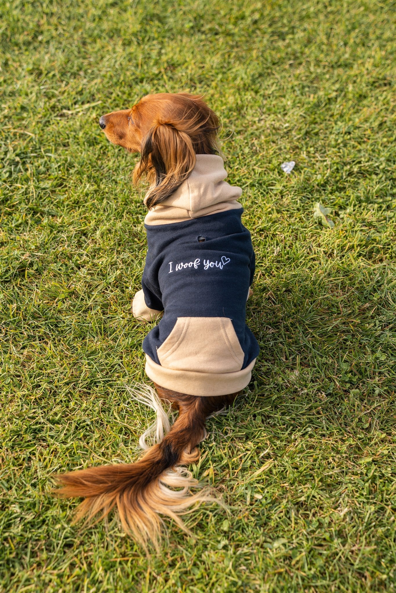 Pet Hoodie I WOOF YOU