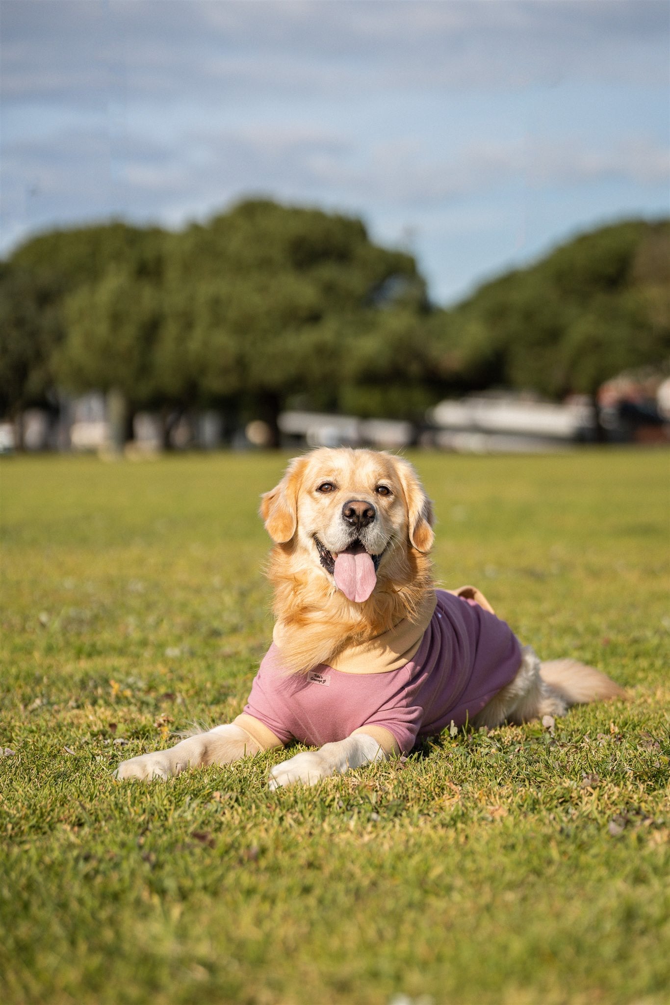 Pet Hoodie I WOOF YOU