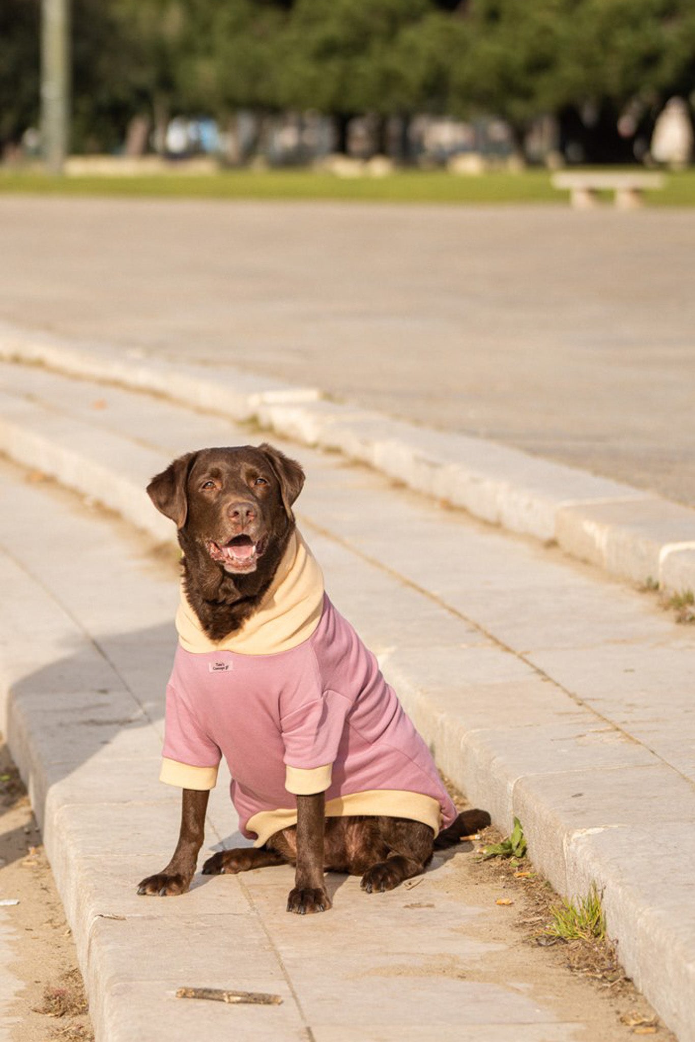 Pet Hoodie I WOOF YOU