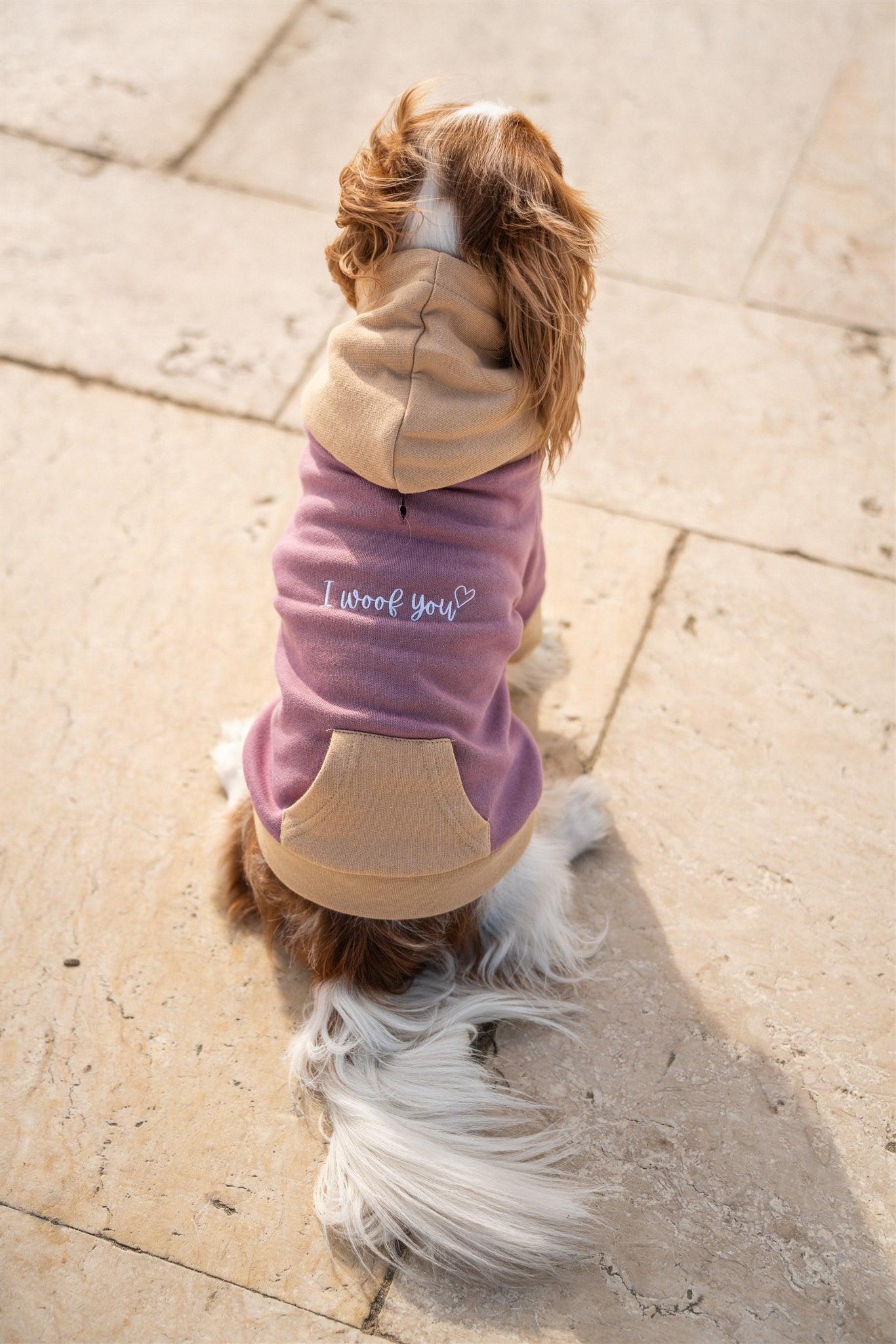 Pet Hoodie I WOOF YOU