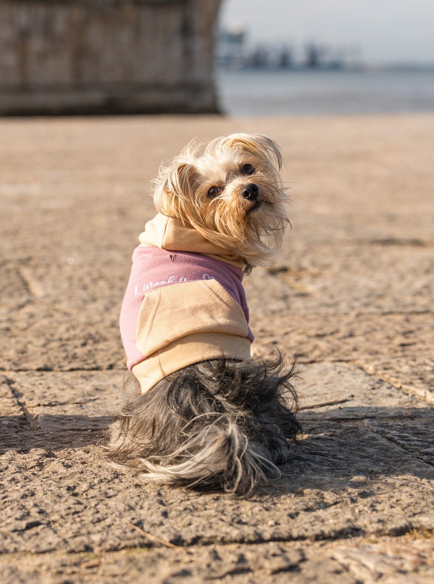 Pet Hoodie I WOOF YOU
