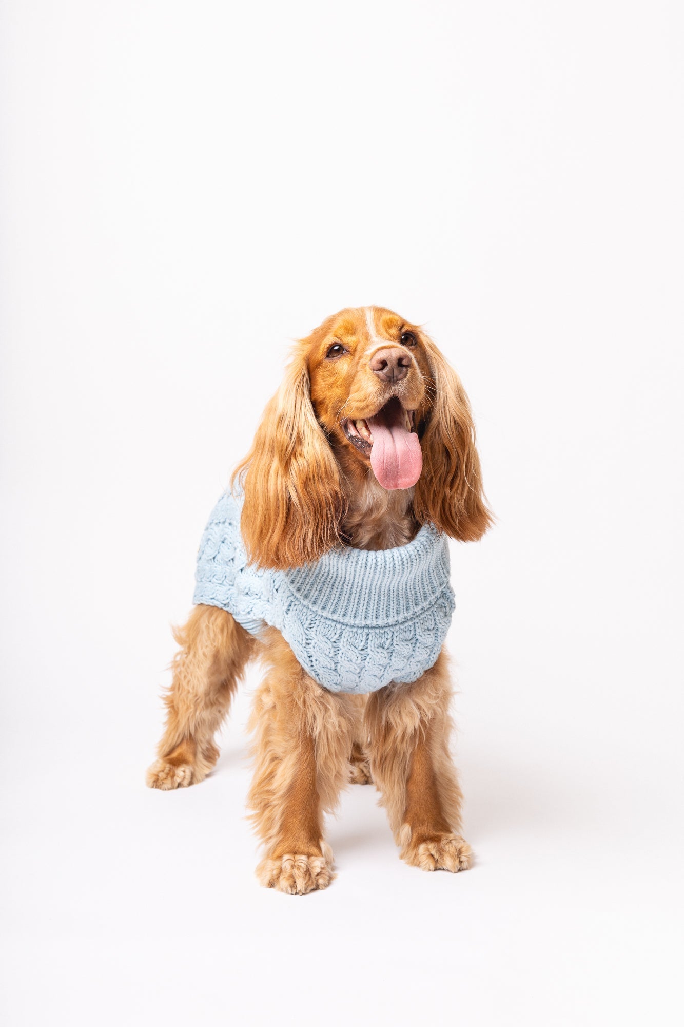 Pullover Turquesa