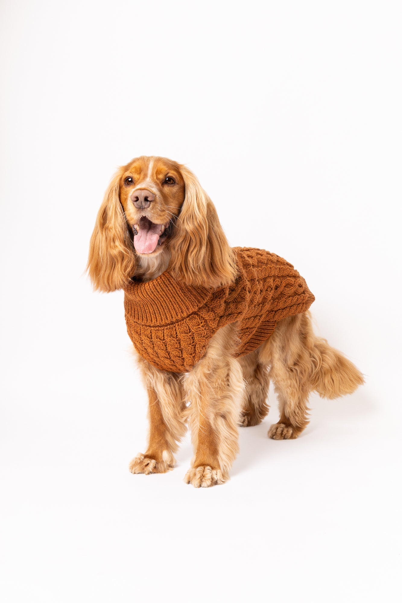 Pullover Terra