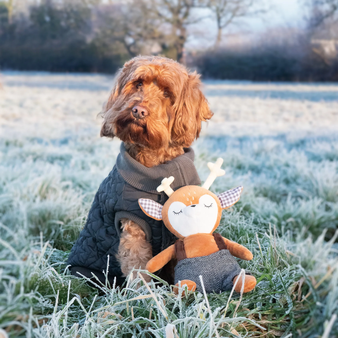 Xmas - Robbie Reindeer