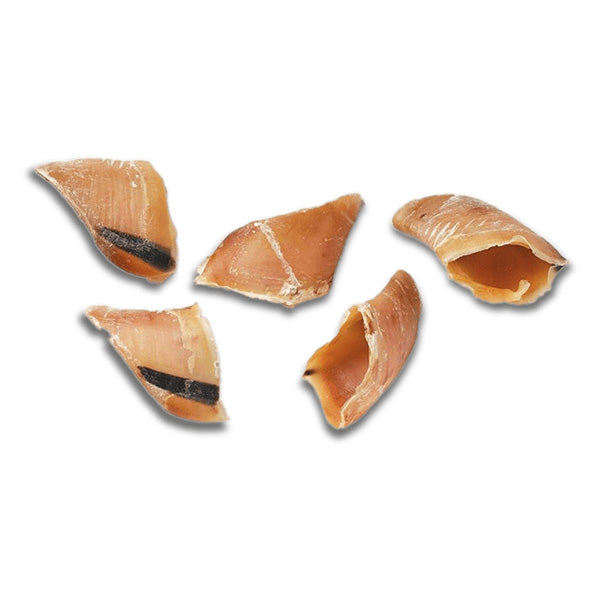 Snack Natural - Cascos de Vaca (Vendido a unidade)