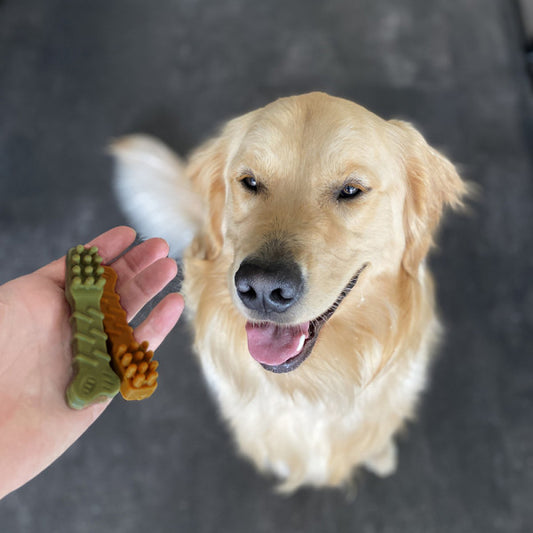 Snacks Escovas de Dentes Recheadas para Cães (Vendido à unidade)